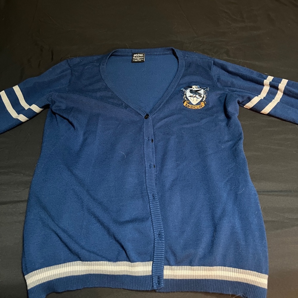 Warner Bros. Blue Harry Potter Sweater
